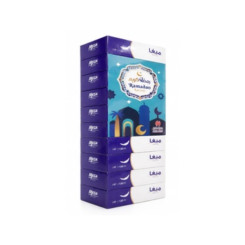 Mega Facial Tissue 10x120Sheets