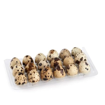 Bahrain Quail Egg 18s