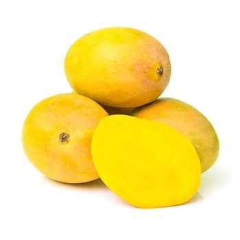 Mango Alphonso Ratnagiri